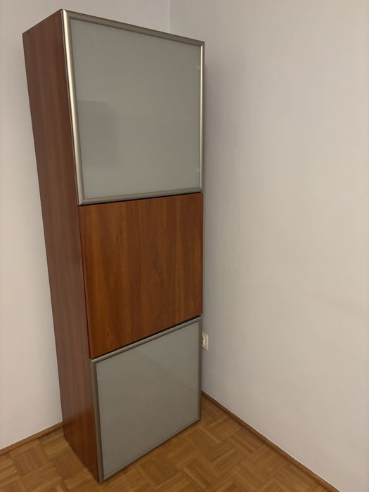 Witryna klasyczna – fornirowana, szkło matowe