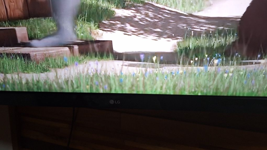 Smart tv Lg 50 polegadas