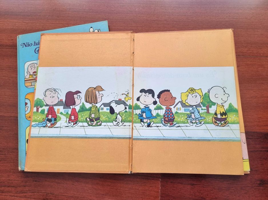 Dois livros "Charlie Brown" de Charles M. Schulz
