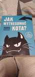Jak wytresować kota