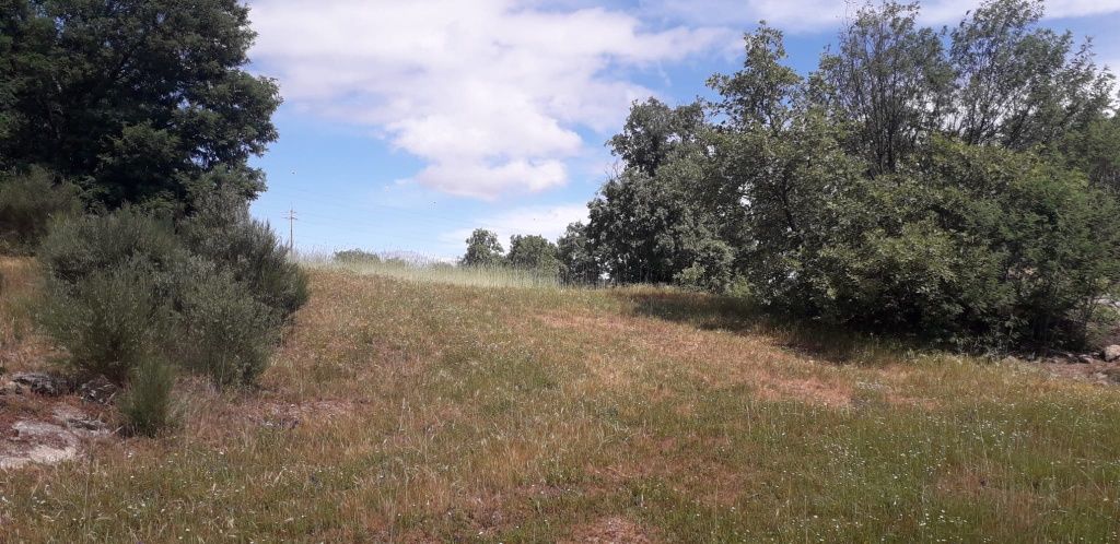 Quinta 14,5 hectares