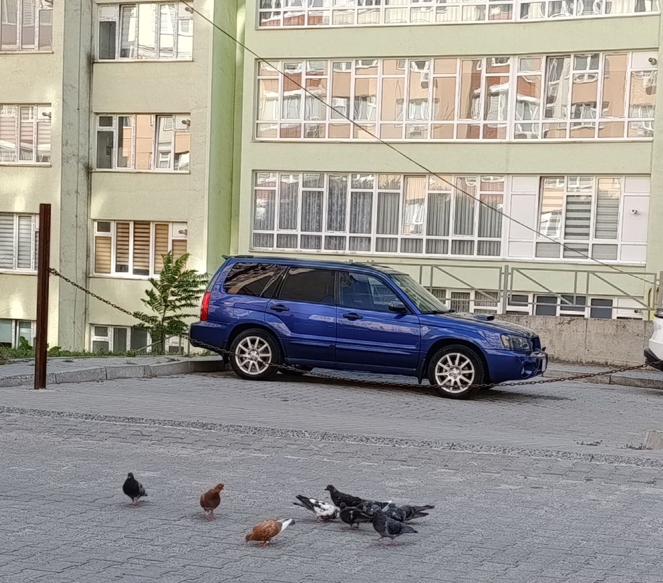 Forester sg5 2003