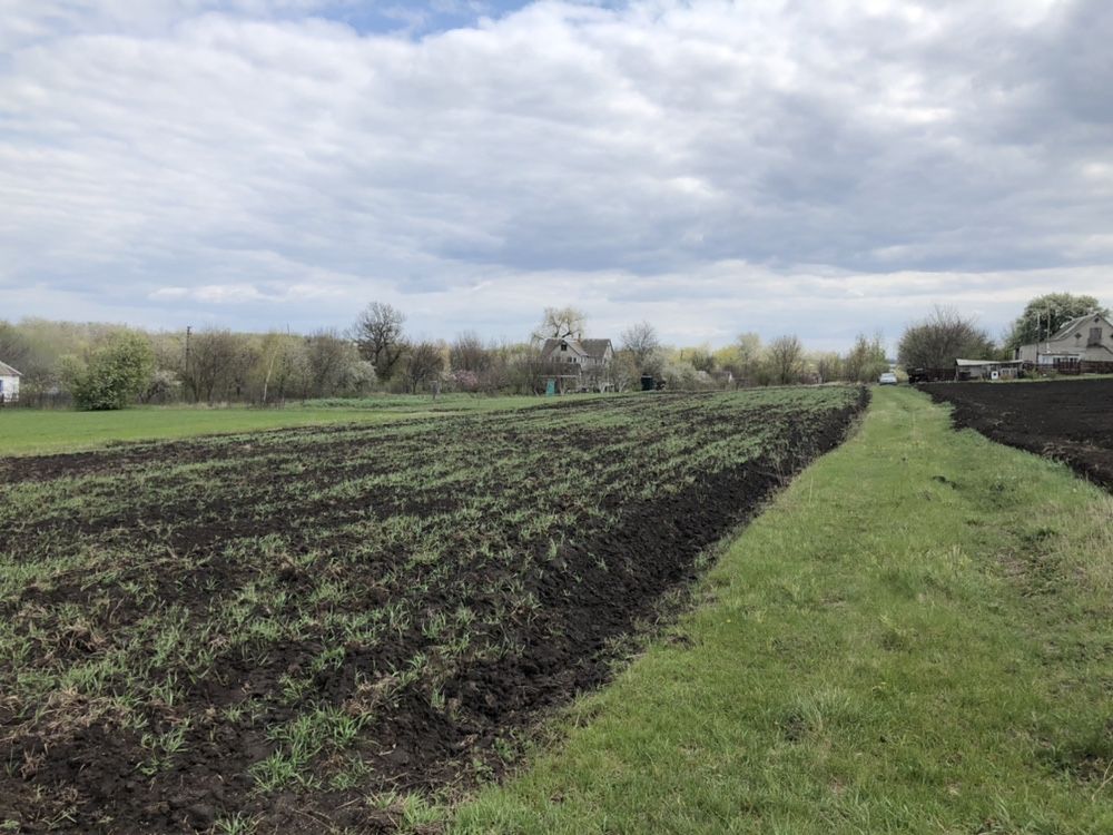 Продаж земельної ділянки біля ставка