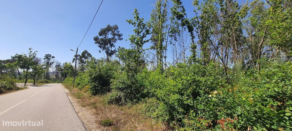 Terreno para construção com área de 5360,00m² em Oliveirinha, Carregal