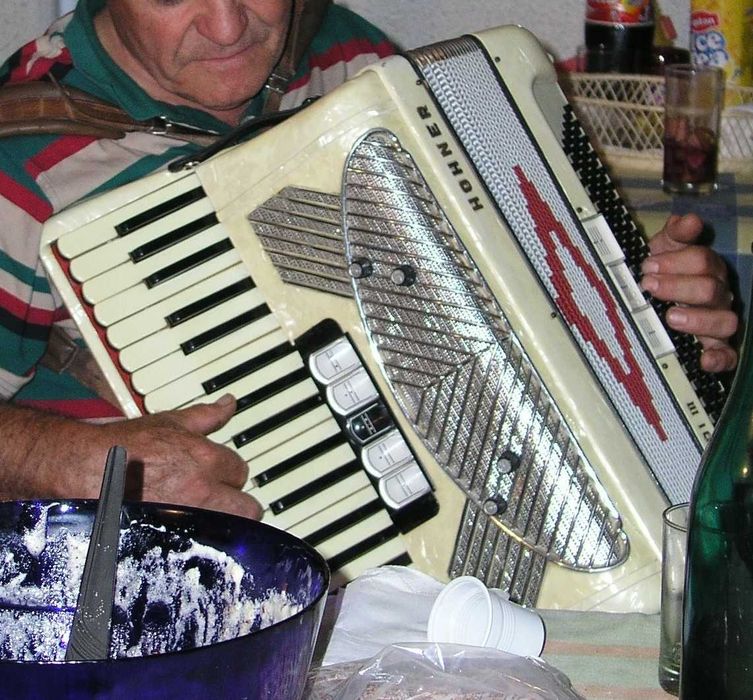 Acordeão Honner 120 baixos eletrificado