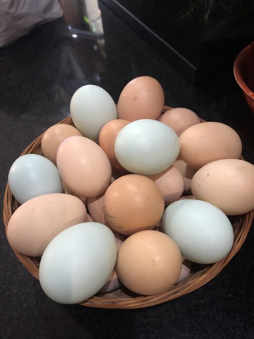 Ovos de galinha, produto rural.