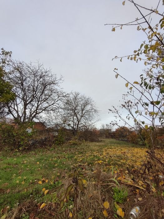 Продаємо земельну ділянку с. Созонівка