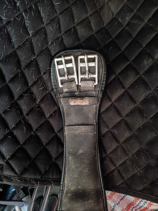 Arreio dressage Passier