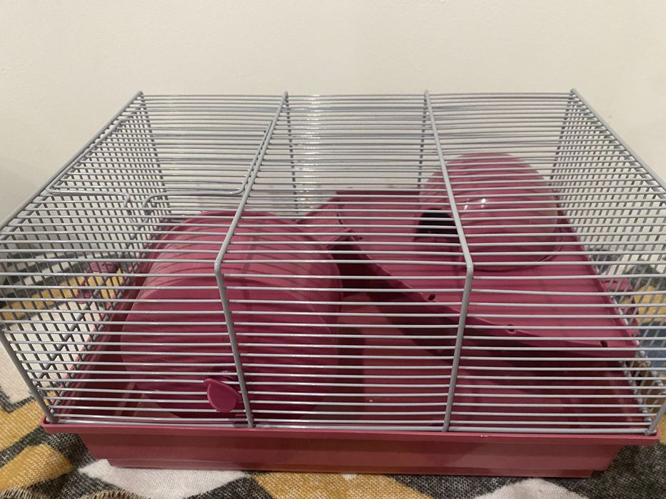 Gaiola para Hamster, roedor