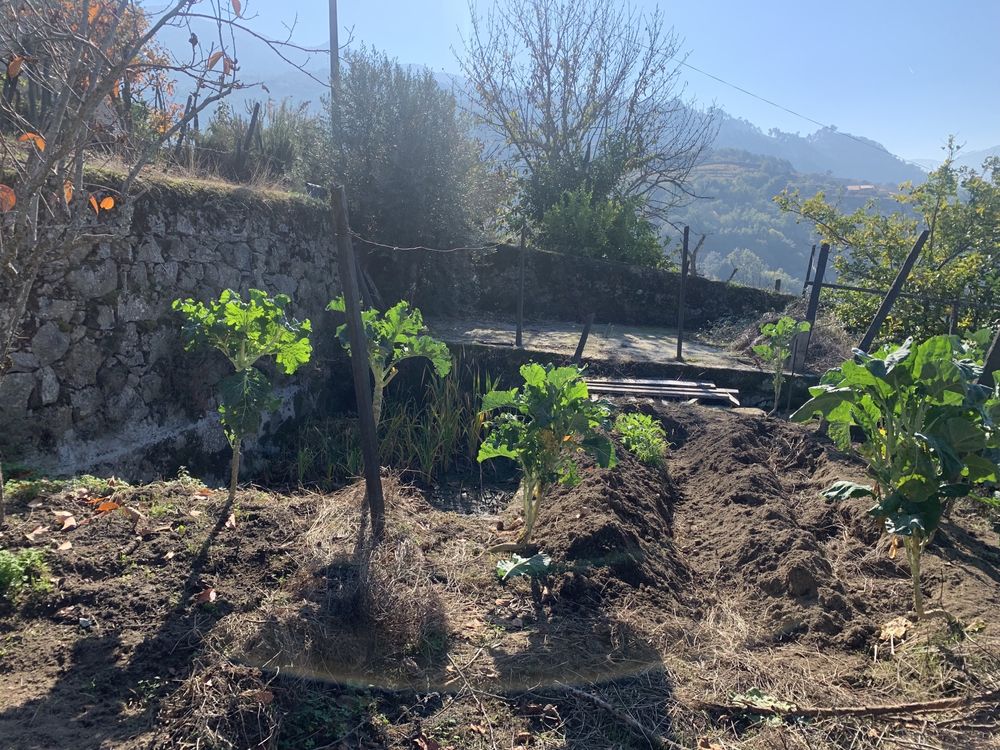 Terreno com habitacao