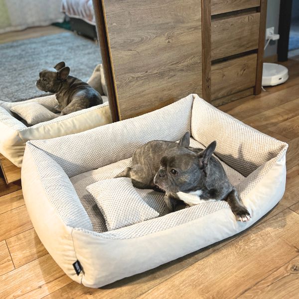 Przytulne legowisko dla psa TEO (120x100 cm, Beż)