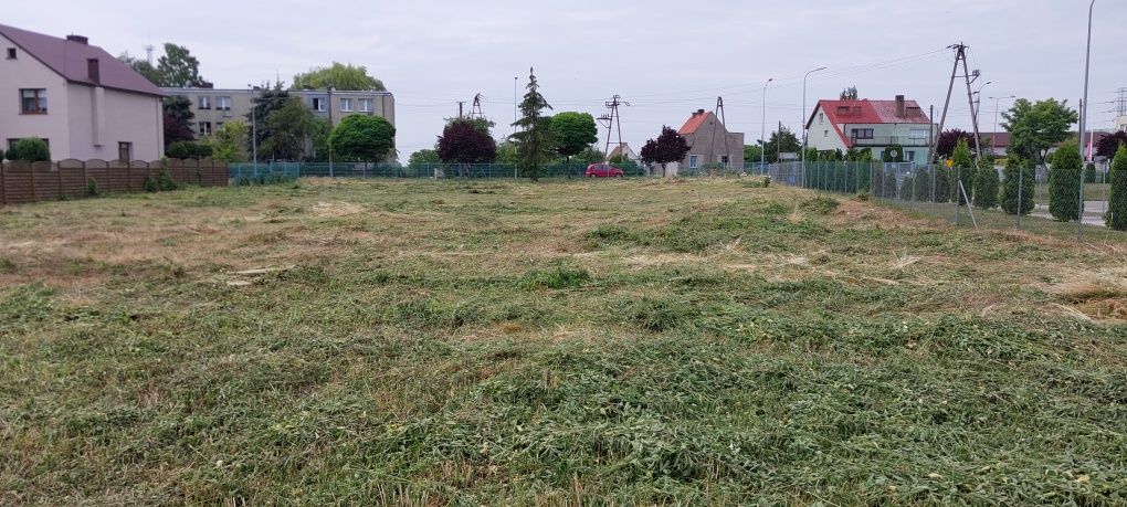 Koszenie wycinka drzew cięcie opału