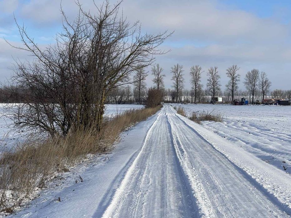 Продаж Земельної ділянки поблизу тернополя