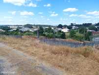 Terreno em Mangualde
