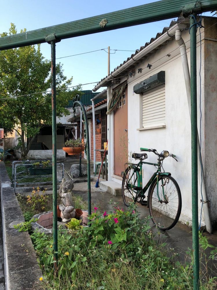 Bicicleta pasteleira verde