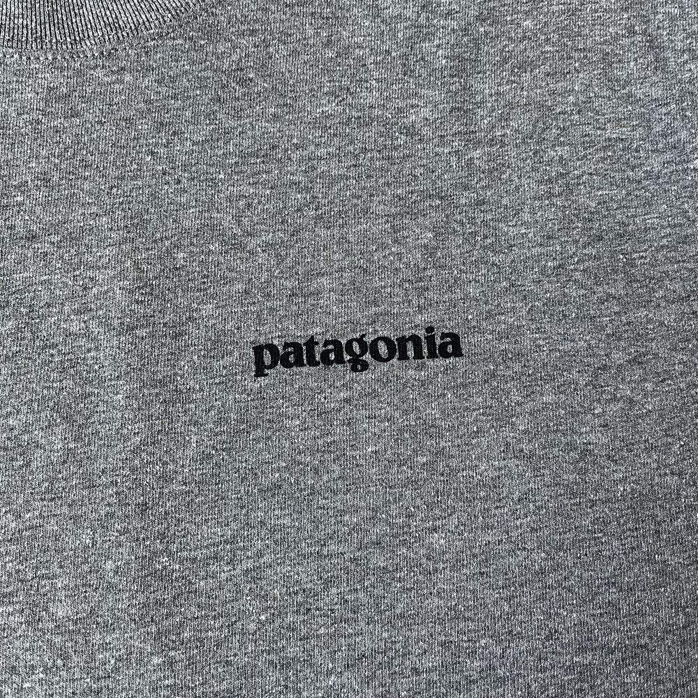 Футболка Patagonia