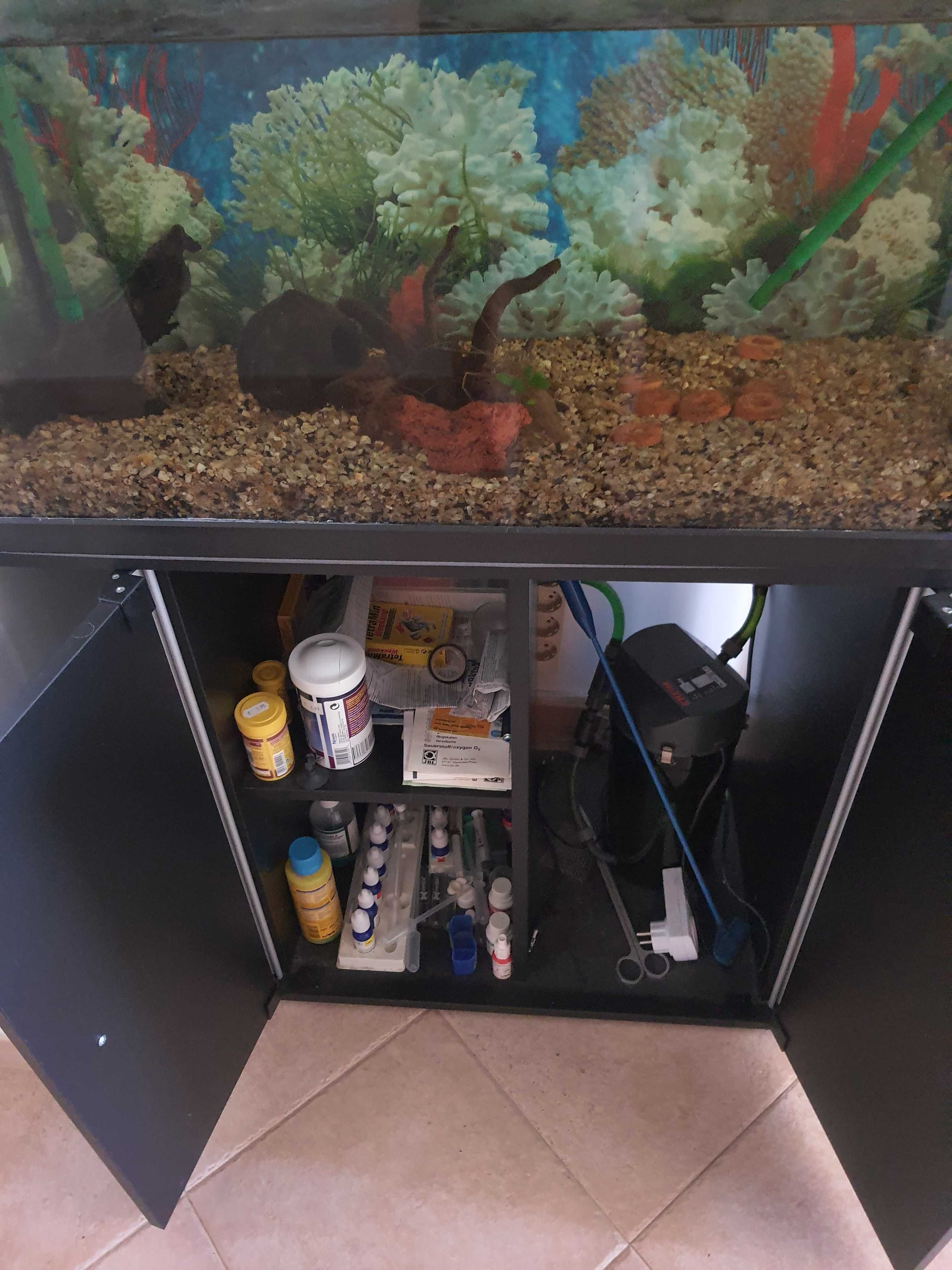 Aquario 80L com filtro externo e Móvel e outros