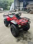 Honda trx 350 fourtrax 1989 4x4