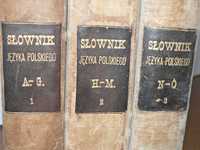 Słownik Języka Polskiego trzy tomowy z 1900r