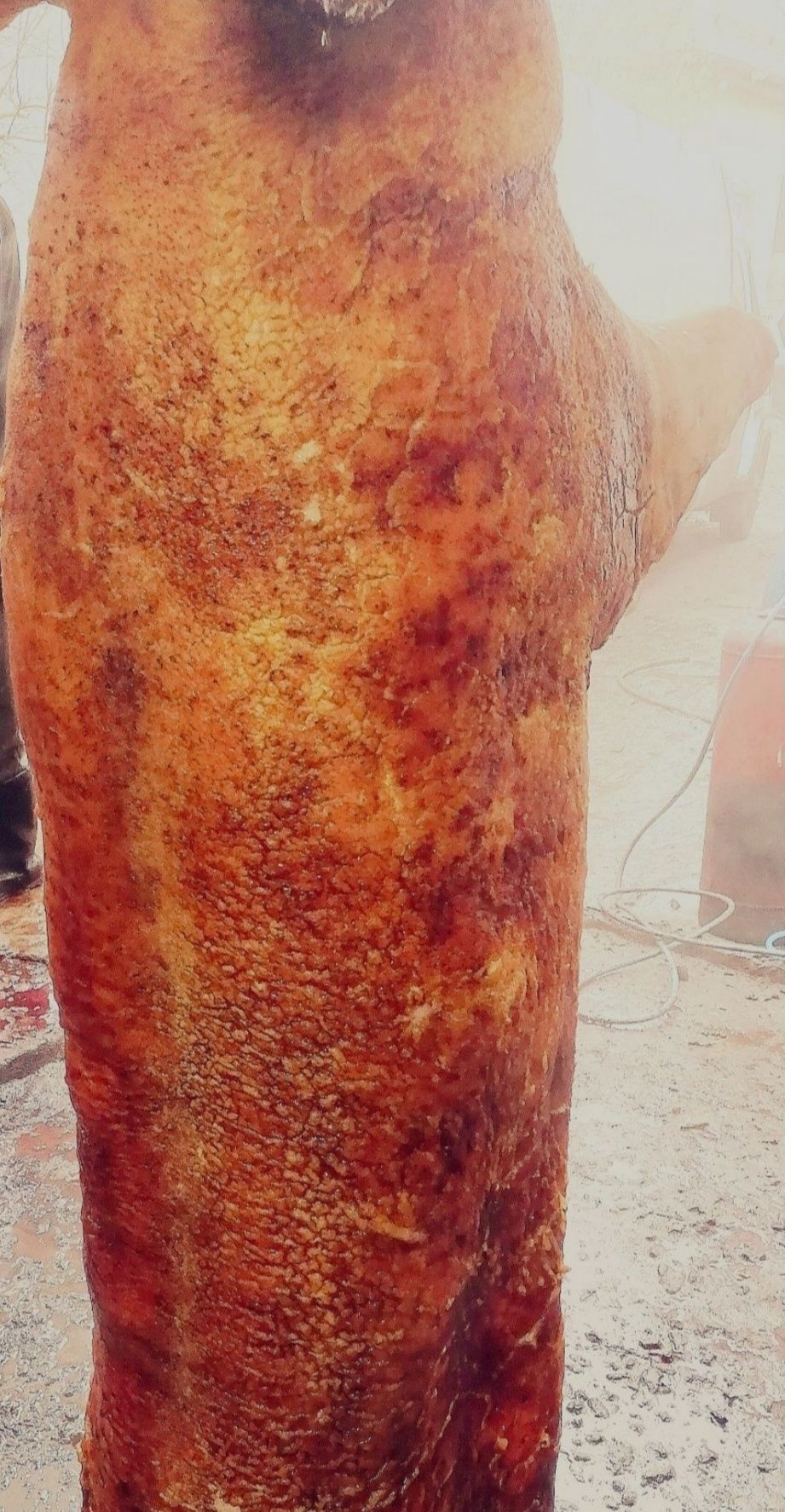 М'ясо свинини домашня свинина туши Сало