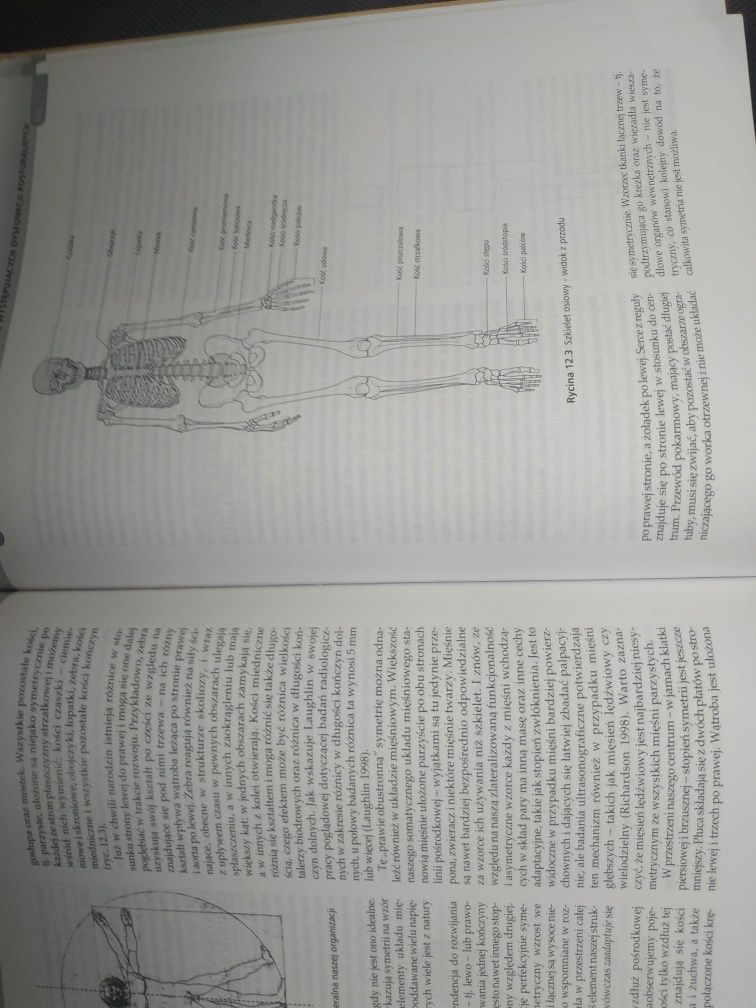 Strukturalna praca z ciałem. John Smith