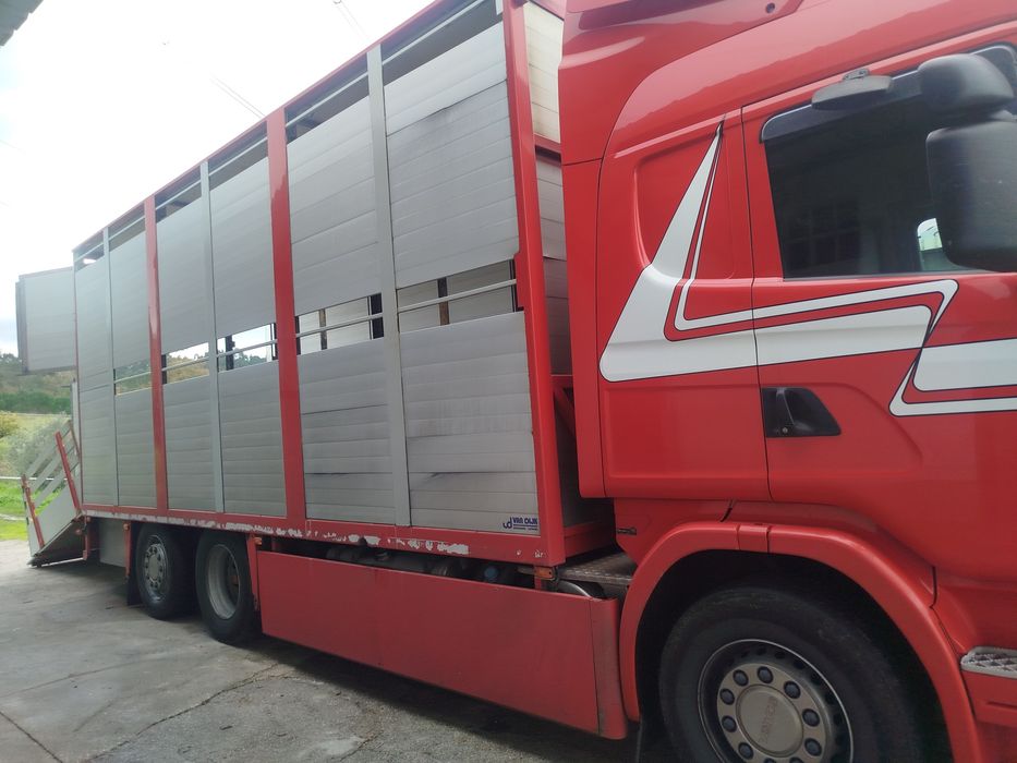 Transporte de animais quinta