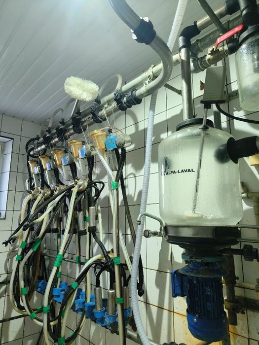 Dojarka przewodowa Alfa laval