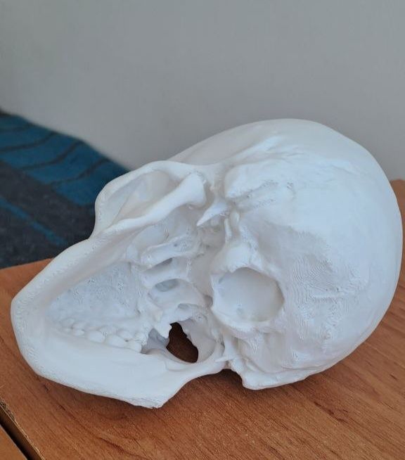 Череп роздрукований на 3D принтері деталізований