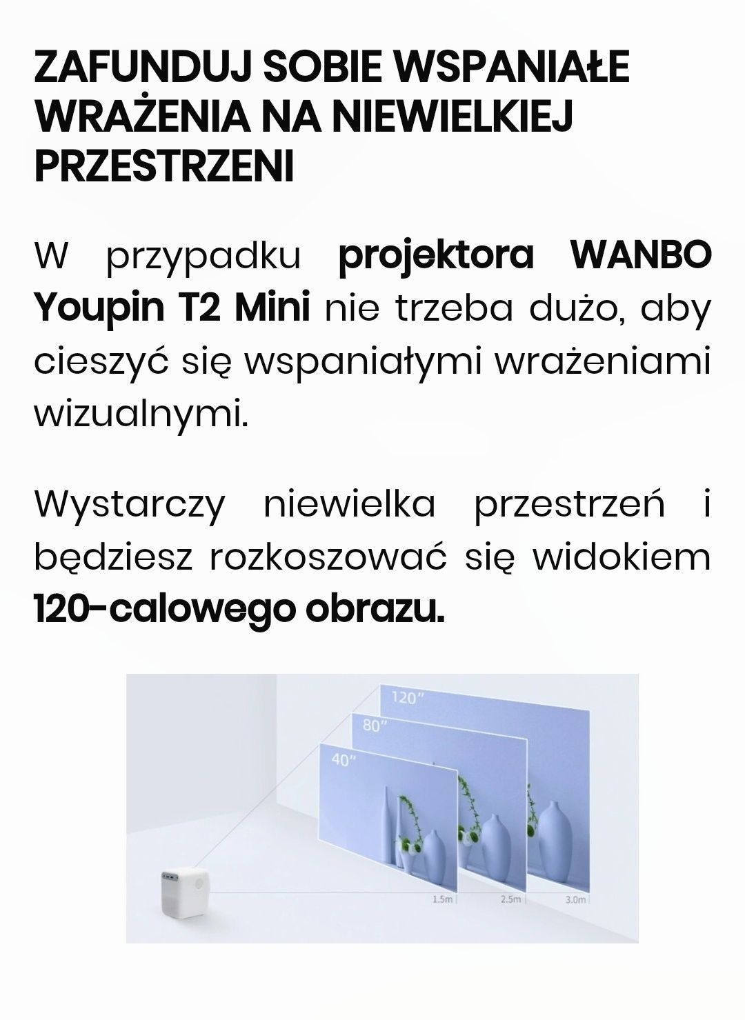 Projektor Wanbo Rzutnik