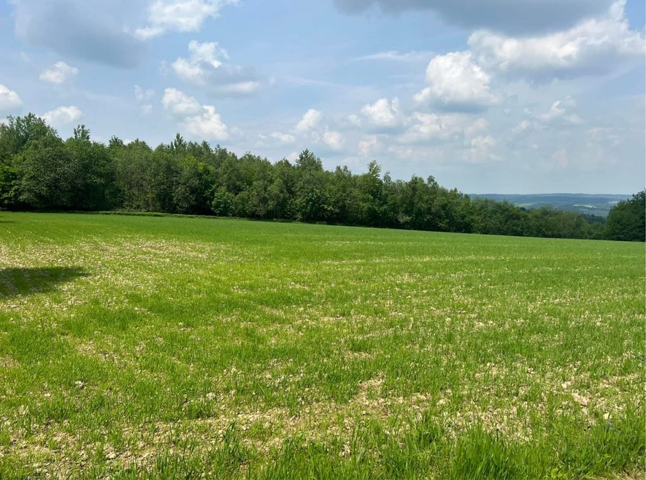 Działka Strzyżów Nowa Wies