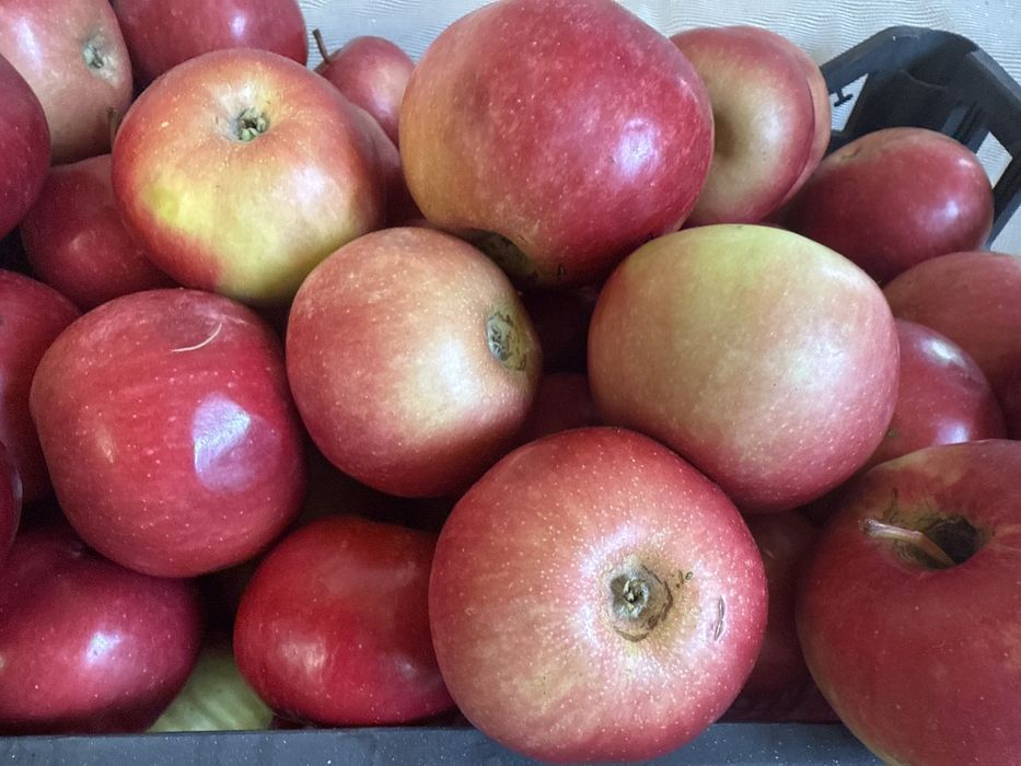 Сік яблучний 100%