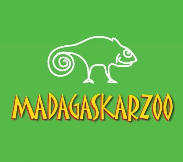 Szkoczogonki ekipa sprzątająca Łódź - Retkinia