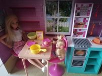Barbie siostry zestaw 
Odbiór Aleksandrów Kujawski