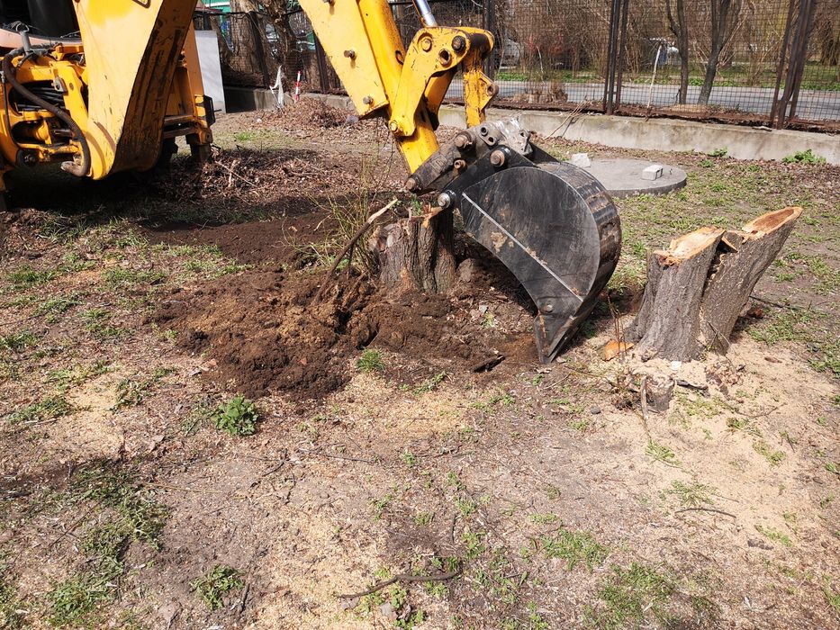 Usuwanie karp wykopywanie wywóz  Frezowanie wyrywanie karp niwelowanie