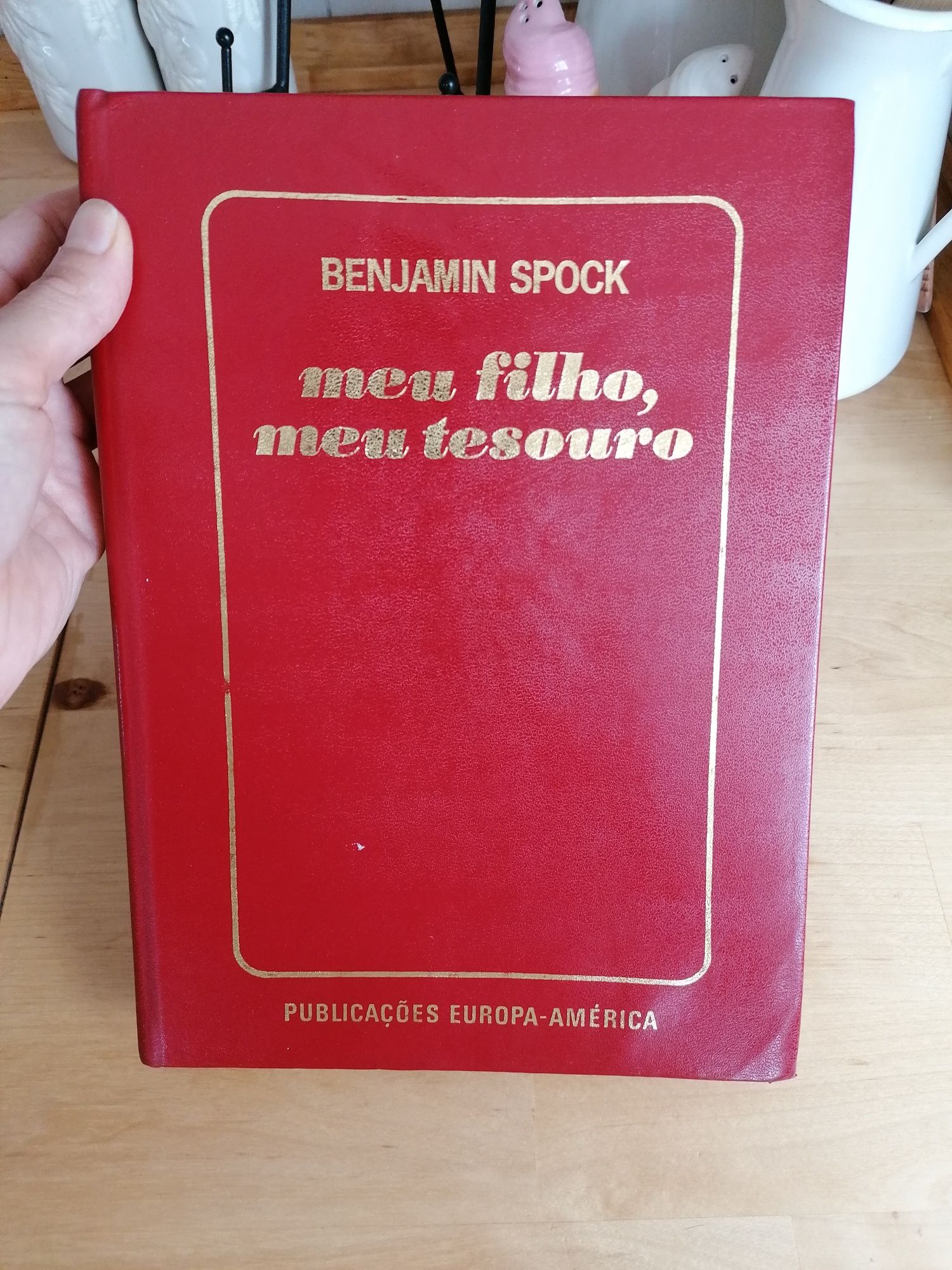 Meu filho, meu tesouro, Benjamin Spock | Grávida, livro instruções