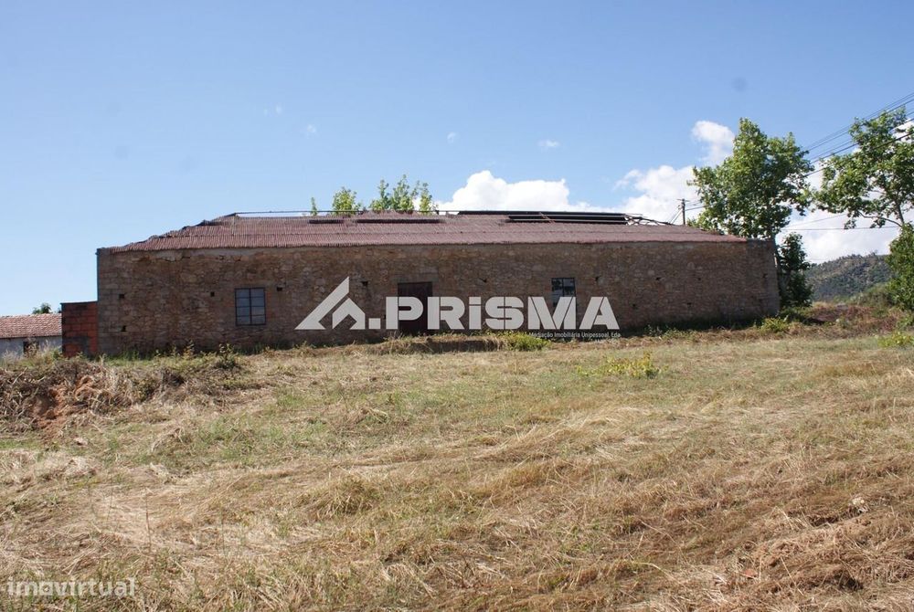 Terreno rústico para venda em Pêro Viseu