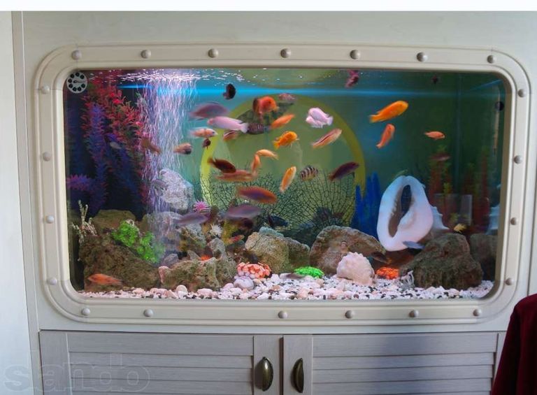 Обслуживание аквариума(недорого),чистка аквариума