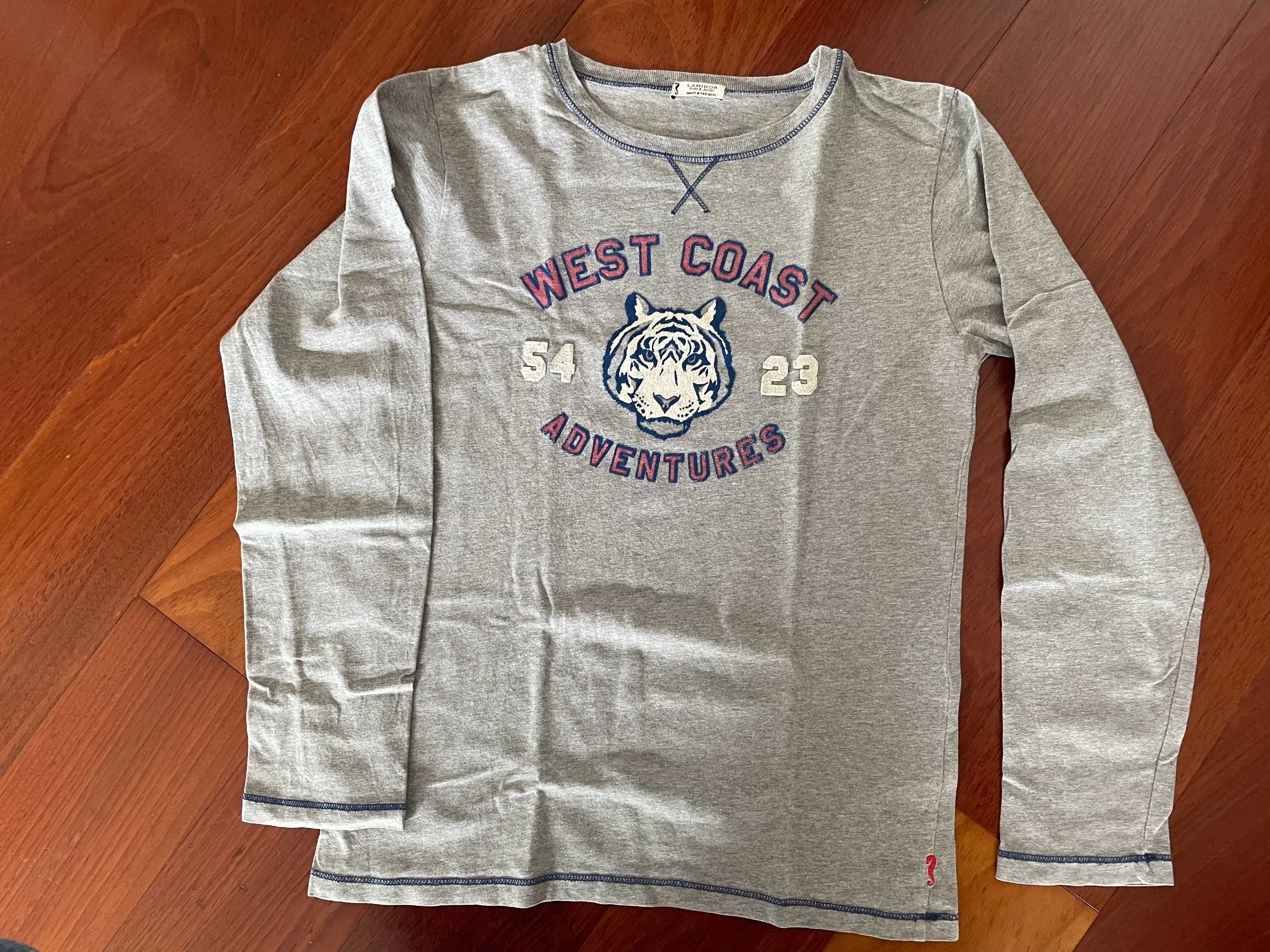 Pullover e Tshirt | Lanidor azul 10 anos