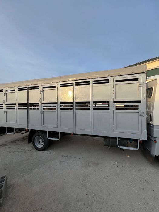 Nissan ecot transporte de animais vivos carrinha gado