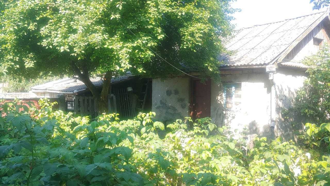Будинок в с. Рогізна, Кам'янець-Подільський р-он, Хмельницька обл.
