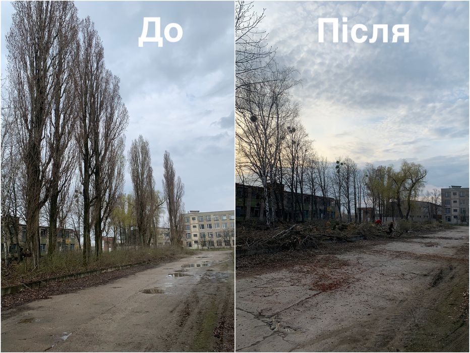 Очистка участков, спил деревьев,вывоз веток,вспашка земли,покос травы.