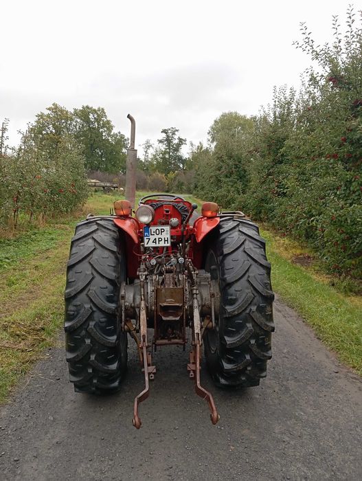 Massey Ferguson 152 mkIII  Sadowniczy