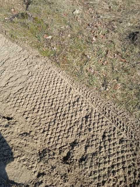 maszynowy wysiew trawy, zakładanie trawników, niwelator terenu