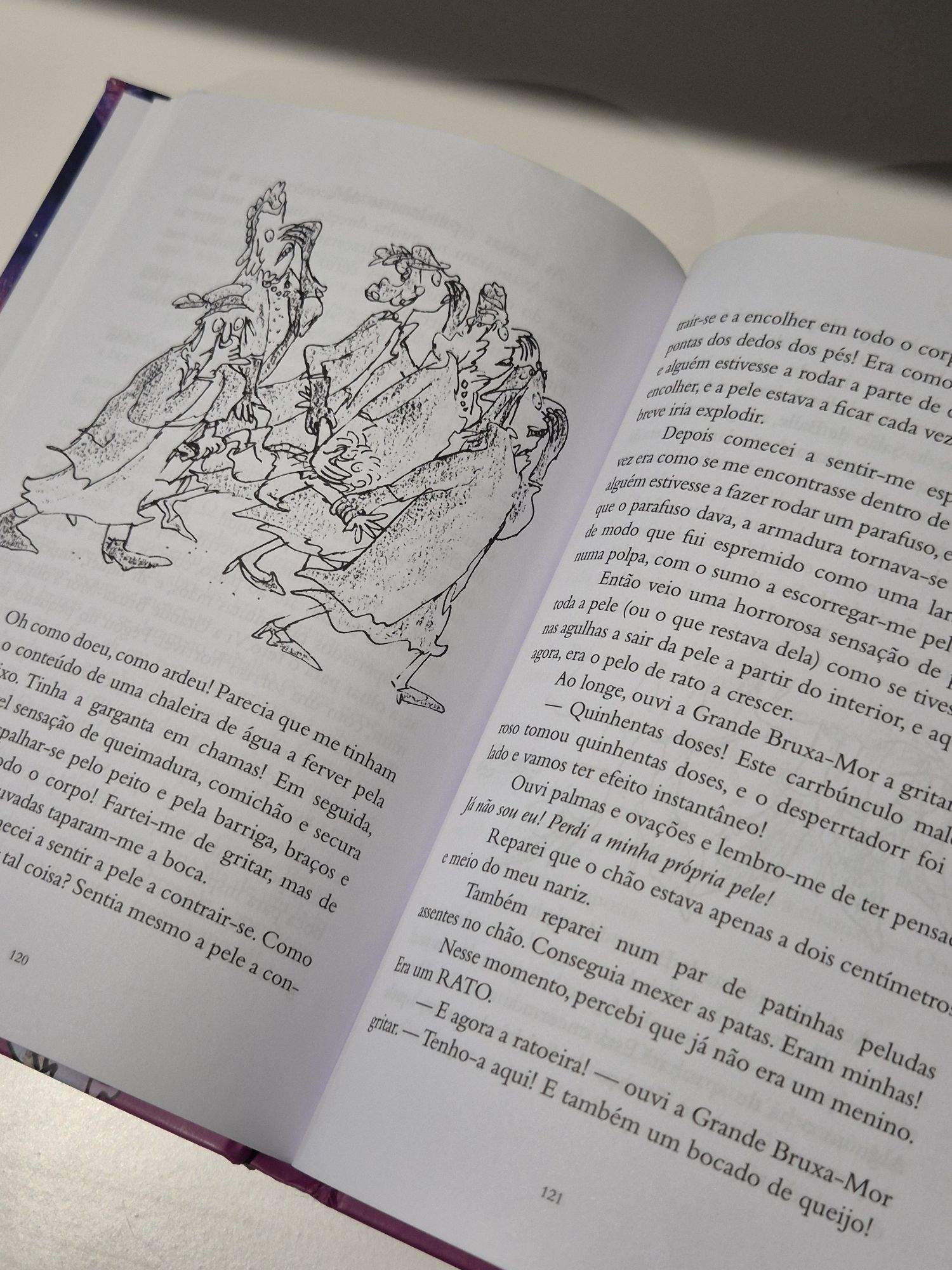 As Bruxas  livro
