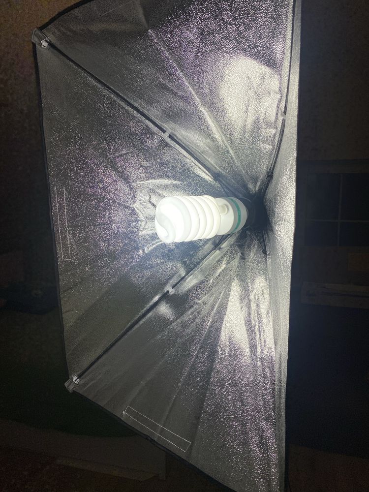 Lampa fotograficzna statyw żarowka