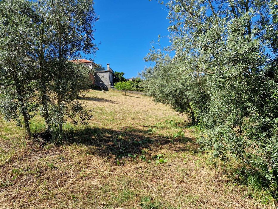 Terreno (2 lotes 500 m² cada) na Barragem da Aguieira a 50 m da água
