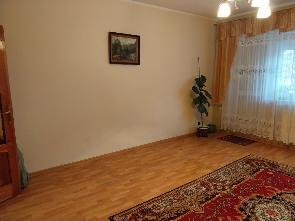 Dywan do pokoju - wełniany