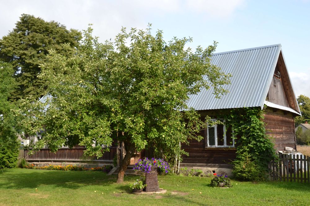 Chata Wiejska Agroturystyka na skraju Puszczy Białowieskiej