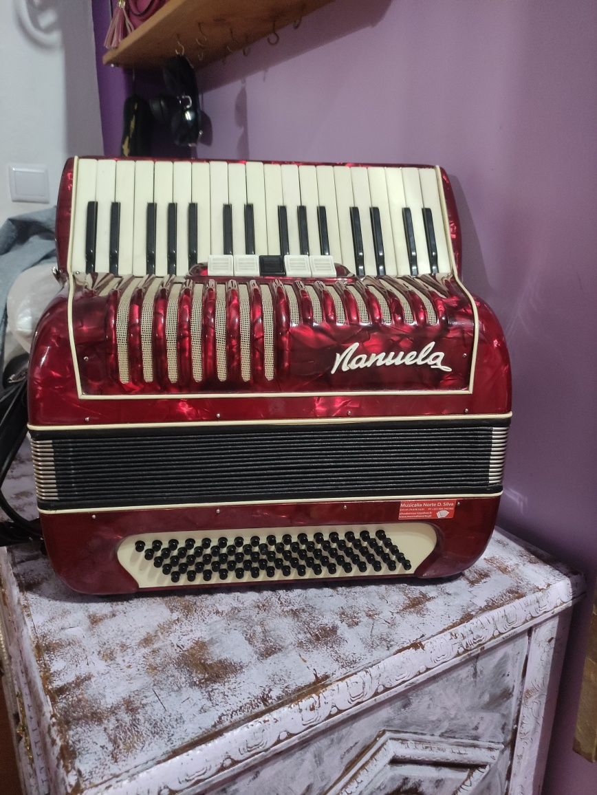 Acordeon bom preço.