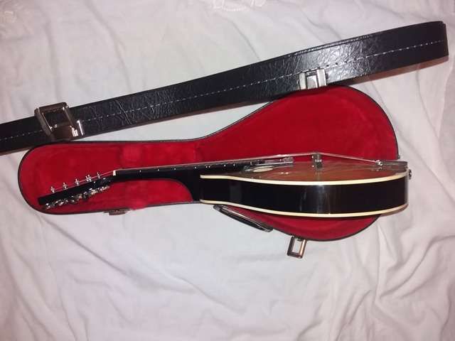 Bandolim de madeira e estojo